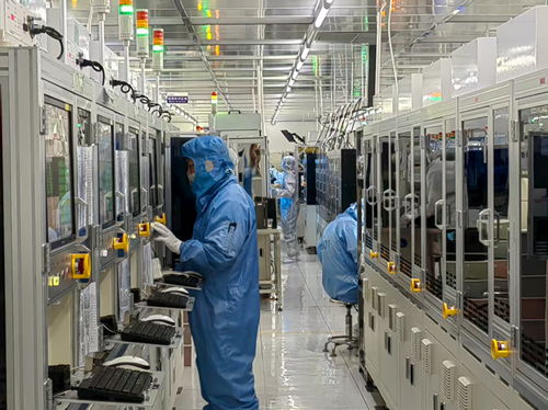 金融活水悉心澆灌，技術服務護航民營經濟滿帆前行